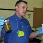 Clinton Jurke, an agronomy specialist with the Canola Council of Canada, shows infected clubroot-infected canola seedlings at CanoLAB 2014.