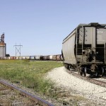 Long line of grain rail cars.