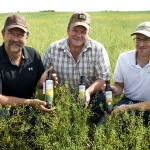Three men holding bottles of Camelina Oil.