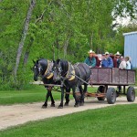 Horse pulling a wagon with people aboard
