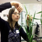 Anne Kirk co-ordinates a participatory plant-breeding project that assists farmers with developing varieties that are best suited to their local environment and individual management practices.