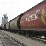 grain railway cars