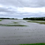 Impact of heavy rains on crops