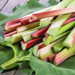 rhubarb