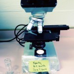 desktop microscope