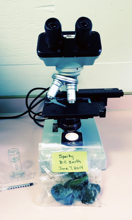 desktop microscope
