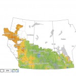 This map shows the total precipitation across the Prairies so far this growing season compared to the long-term average. Most of the Prairies have seen average to well-above-average amounts, with the wettest areas located in a northwest swath from Brandon to just west of Saskatoon.