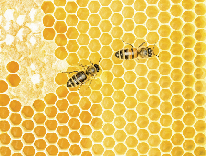 photo: thinkstock