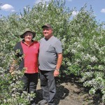 Edith and Wayne Smith retired from jobs in the city and moved back to Edith’s family farm in 2002. In early June the trees in their orchard are covered in delicate white blossoms.