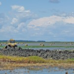 A field of hay was under water within hours after there was an intentional breach on the west side of the Portage Diversion July 4. It would have been the first hay harvested from the field since 2010. Local landowners want help.  Photo: Sandi Knight 