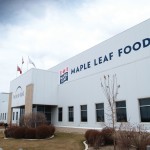 Maple Leaf’s Brandon plant is operating at 75 per cent capacity due to shortages of hogs and workers.