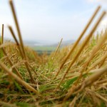 Drying time can be reduced
