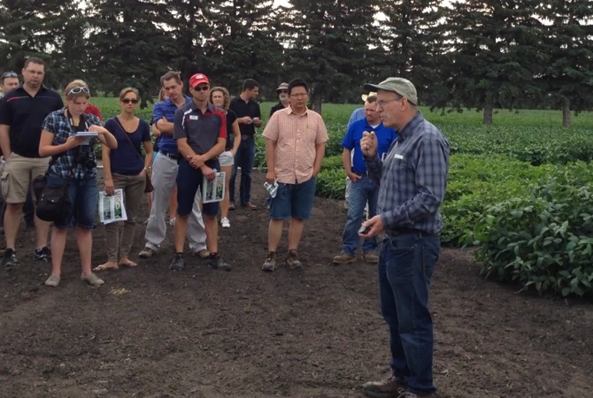 VIDEO: Soybean progress in Manitoba