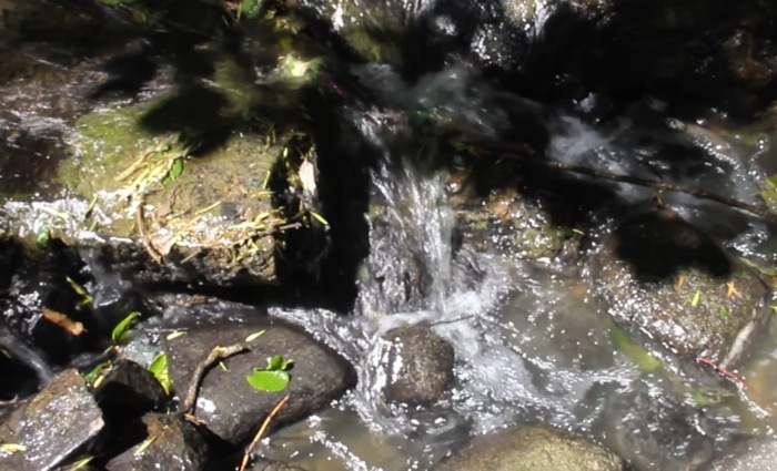 VIDEO: Touring the ebbs and flows on the Manitoba Escarpment, Part One
