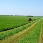 Telling the story of grass