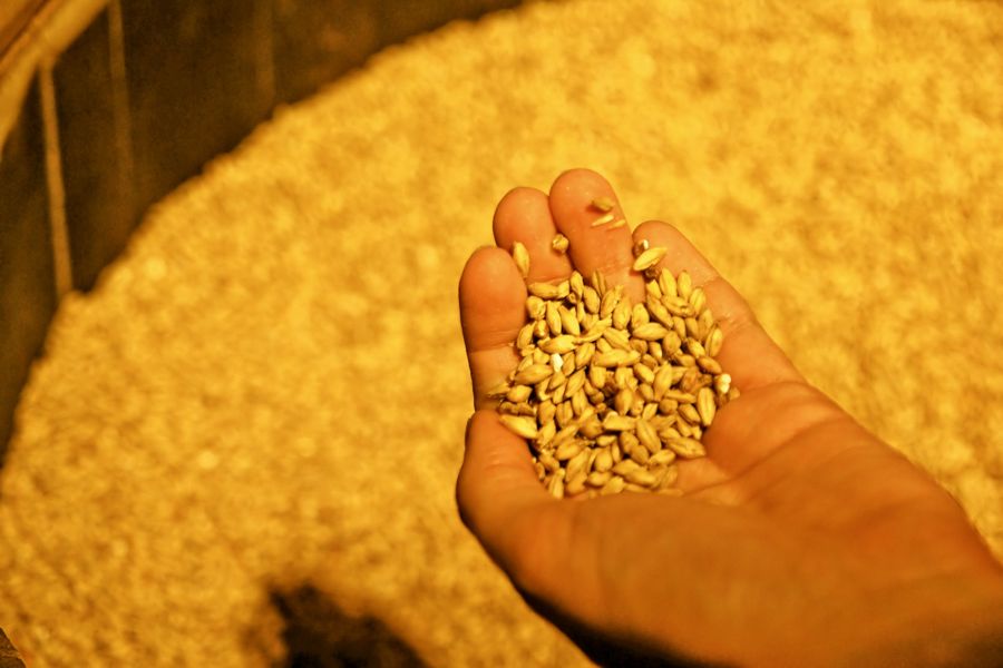 Pesticide labels and our reputation