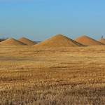 Editorial: Trends and anomalies