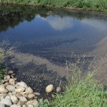 livestock manure pit