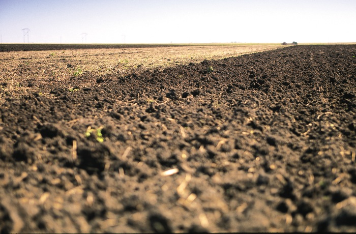 New project aims to put soil at scientific forefront