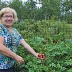 Leanne MacKay standing beside potatoes she has growing in straw bales. photos: Joan Airey