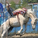 Danny Vandenmeele, shown competing in bareback at Rapid City, Manitoba in the spring, was named bareback champion at the Canadian Finals.