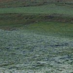 How do we define a fall frost?