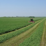 Harvest has been a struggle for forage growers this summer. (File photo)