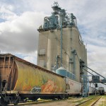 If you thought grain-shipping woes were solved, think again, warn grain shippers and flour millers.  photo: allan dawson