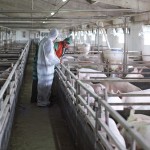Just paying Canadians more to work in the farm sector or further automating farms