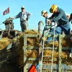 The image in question that mistakenly referred to these threshermen as "shoveling hay" instead of "pitching sheaves." Our apologies for the error.