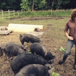 woman standing outside with pigs
