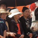 The Miss Milk Cow beauty contest in Vietnam selects cows with a solid torso, high legs and which provide the most milk. The annual event promotes dairy farming to fill a growing demand for milk products in the country.