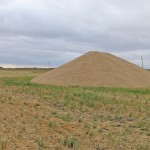 pile of grain in an open field