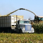 Many modern farms use a lot of large equipment such as silage choppers and feed wagons that can be the source of metal.