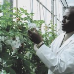 Benoît Bizimungu is a scientist working on improved potato varieties for Agriculture and Agri-Food Canada.