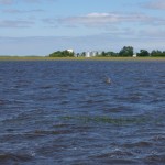 Long-term planning means planning not just for flooding, but the inevitable years when dry spells will mean water is in short supply, said speakers at the November 12-14 planning conference for the formation of the Assiniboine River Basin Initiative.