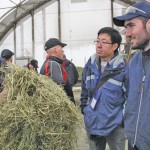 men looking at hay