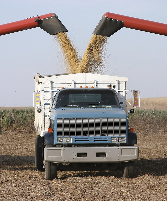 truck being filled with grain