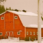At this time of year when we count our blessings, it’s wonderful to reflect that the Manitoba Co-operator has been able to deliver 71 unbroken years of agricultural reporting to its readers.
