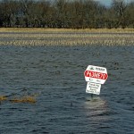 flooded farmer's field