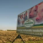 In 2012, Manitoba feed mill and hog-producing company Puratone went into creditor protection, owing more than $1.5 million in unpaid grain. Farmers would be protected from similar situations if feed mills were brought into Bill C-48.