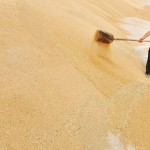 A farmer piles wheat up after a harvest in Shandong province in 2013.
