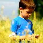 young boy in a crop field