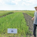 man standing on crop research project field