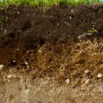 soil profile of farmland