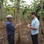 Farmer Ken Kamiya (l) shares his freshly harvested papaya with the Know GMO film team.