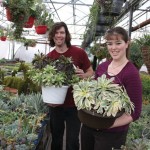Siblings Shea and Mishaeli Doherty are part of the family that specialized into succulents and today operate Our Farm Greenhouse near Portage la Prairie.