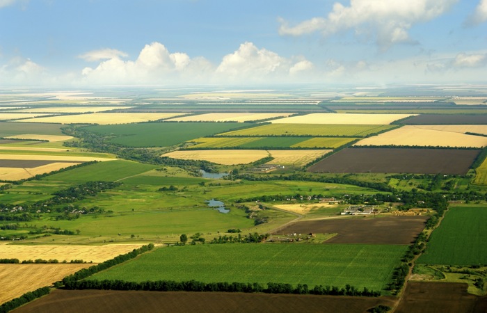 aerial view of farmland