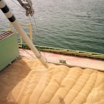 grain being loaded onto a cargo ship