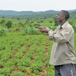 Thomas Nkhunda, 37, has been using conservation agriculture on his plots for eight years.